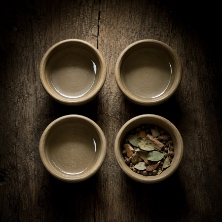 Four bowls, one holding plants, the 4 domains of psychedelic preparedness